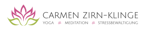 test.carmen-zirn-klinge.de